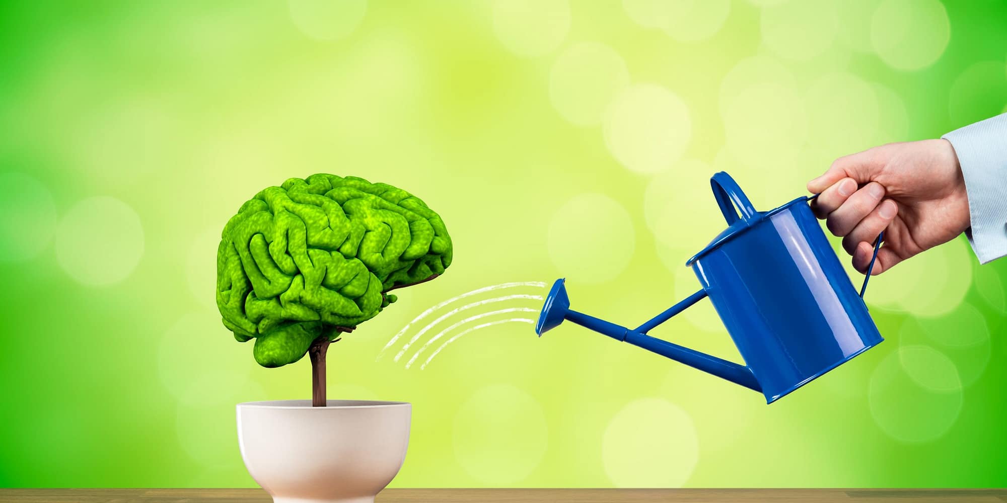 Full Width Featured Image With Sidebar